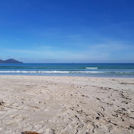 Ideal Property Mallorca - Playasol Port de Alcudia  Eksteriør bilde