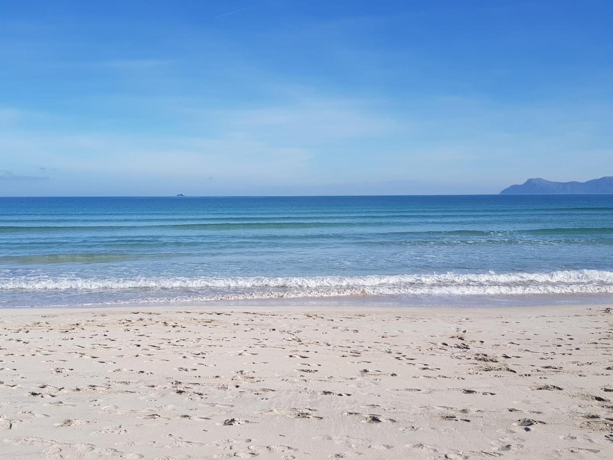 Ideal Property Mallorca - Playasol Port de Alcudia  Eksteriør bilde