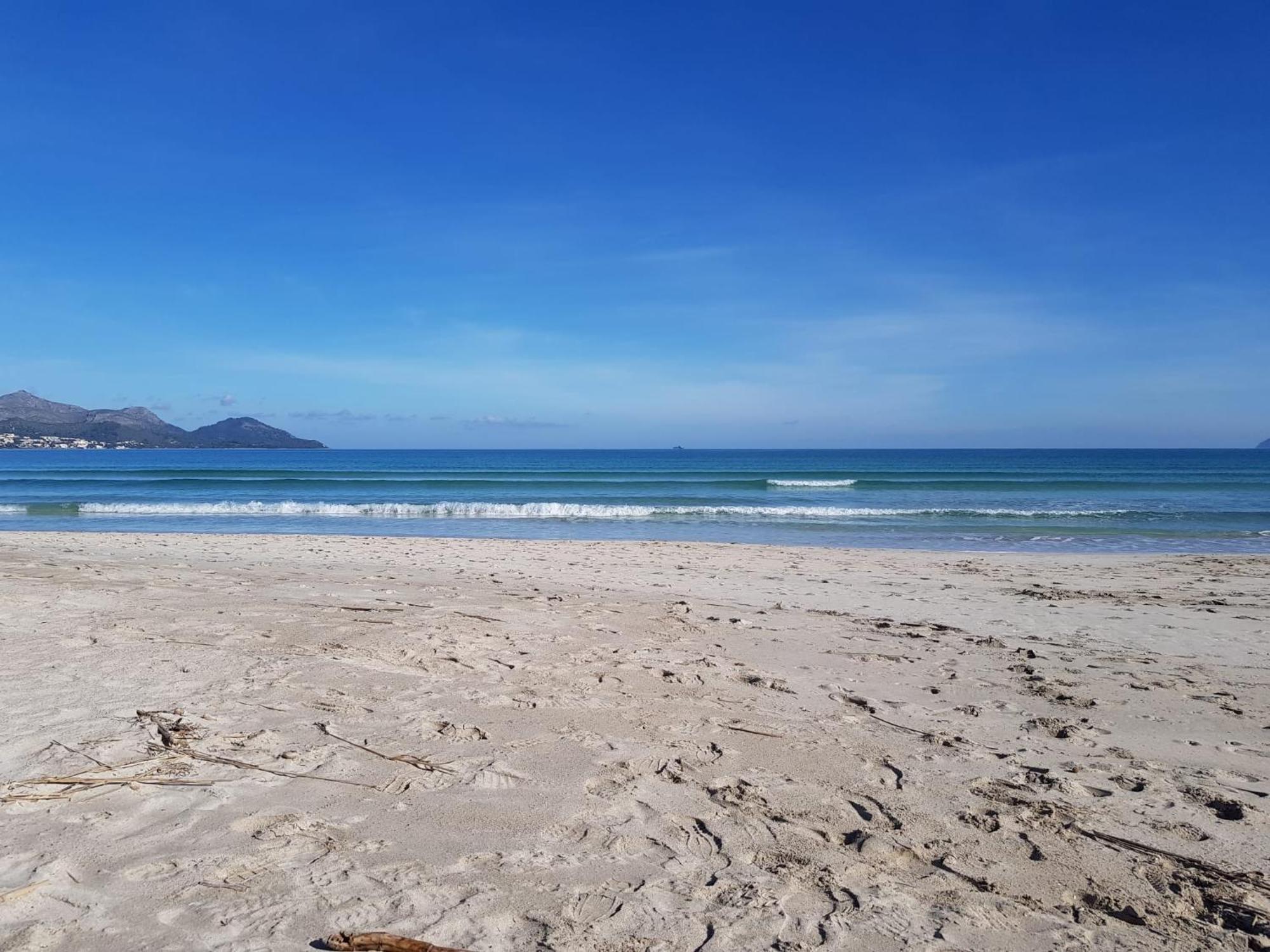 Ideal Property Mallorca - Playasol Port de Alcudia  Eksteriør bilde